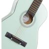 imageAshthorpe 38inch Beginner Acoustic Guitar Package Black Basic Starter Kit wGig Bag Strings Strap Tuner Pitch Pipe PicksMint Green