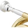 imageAshthorpe Bb Brass Pocket Trumpet with Nickel Plated Finish  Includes Case Mouthpiece Gloves Cleaning Cloth Valve OilGold Lacquer