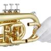 imageAshthorpe Bb Brass Pocket Trumpet with Nickel Plated Finish  Includes Case Mouthpiece Gloves Cleaning Cloth Valve OilGold Lacquer