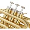 imageAshthorpe Bb Brass Pocket Trumpet with Nickel Plated Finish  Includes Case Mouthpiece Gloves Cleaning Cloth Valve OilGold Lacquer