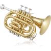 imageAshthorpe Bb Brass Pocket Trumpet with Nickel Plated Finish  Includes Case Mouthpiece Gloves Cleaning Cloth Valve OilGold Lacquer