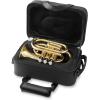 imageAshthorpe Bb Brass Pocket Trumpet with Nickel Plated Finish  Includes Case Mouthpiece Gloves Cleaning Cloth Valve OilGold Lacquer