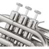 imageAshthorpe Bb Brass Pocket Trumpet with Nickel Plated Finish  Includes Case Mouthpiece Gloves Cleaning Cloth Valve OilNickel