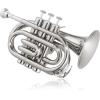 imageAshthorpe Bb Brass Pocket Trumpet with Nickel Plated Finish  Includes Case Mouthpiece Gloves Cleaning Cloth Valve OilNickel