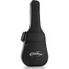 imageAshthorpe FullSize Thinline Cutaway Acoustic Electric Guitar Package with 10 Watt Amp  BrownPink