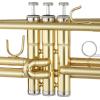 imageAshthorpe Standard Bb Trumpet with Gold Brass Finish  Includes Case Mouthpiece Gloves Cleaning Cloth Valve OilGold Lacquer