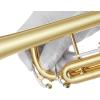 imageAshthorpe Standard Bb Trumpet with Gold Brass Finish  Includes Case Mouthpiece Gloves Cleaning Cloth Valve OilGold Lacquer