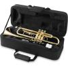 imageAshthorpe Standard Bb Trumpet with Gold Brass Finish  Includes Case Mouthpiece Gloves Cleaning Cloth Valve OilGold Lacquer