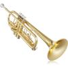 imageAshthorpe Standard Bb Trumpet with Gold Brass Finish  Includes Case Mouthpiece Gloves Cleaning Cloth Valve OilGold Lacquer