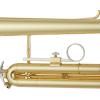 imageAshthorpe Standard Bb Trumpet with Gold Brass Finish  Includes Case Mouthpiece Gloves Cleaning Cloth Valve OilGold Lacquer