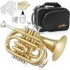 imageAshthorpe Bb Brass Pocket Trumpet with Nickel Plated Finish  Includes Case Mouthpiece Gloves Cleaning Cloth Valve OilGold Lacquer
