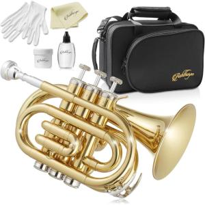 imageAshthorpe Bb Brass Pocket Trumpet with Nickel Plated Finish  Includes Case Mouthpiece Gloves Cleaning Cloth Valve OilGold Lacquer