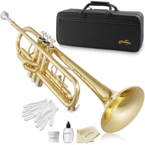 imageAshthorpe Standard Bb Trumpet with Gold Brass Finish  Includes Case Mouthpiece Gloves Cleaning Cloth Valve OilGold Lacquer